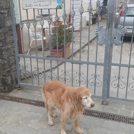 Tana Del Bianconiglio Prataccio