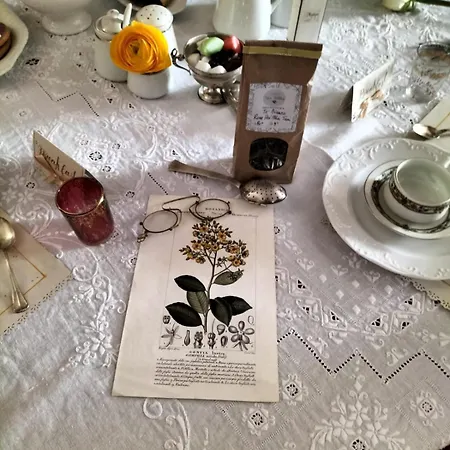 Bed and breakfast Tana Del Bianconiglio Prataccio